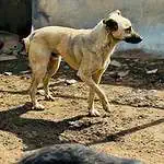 WhatsApp Image 2024-03-26 at 12.57.24 (1)