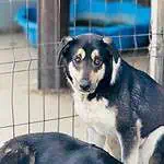 WhatsApp Image 2024-04-02 at 11.50.27