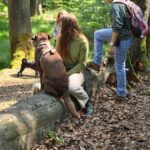 WhatsApp Image 2024-05-18 at 16.05.36