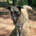 WhatsApp Image 2024-05-18 at 16.06.15 (1)