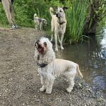 762dfd02-25a6-4211-8956-ad5e4733a108