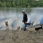 bb810628-a8cf-4f21-ba49-f127dc12f89b