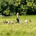 c4e405b2-e08e-462f-bf7e-2e96b7c0a1f5