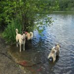 d248092a-55b0-4119-b099-bec1cad6695a